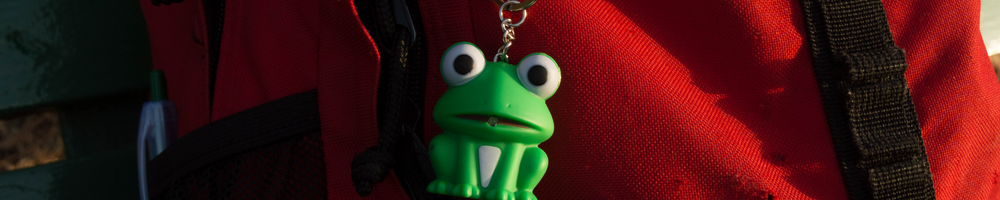 boys backpack with frog keyring