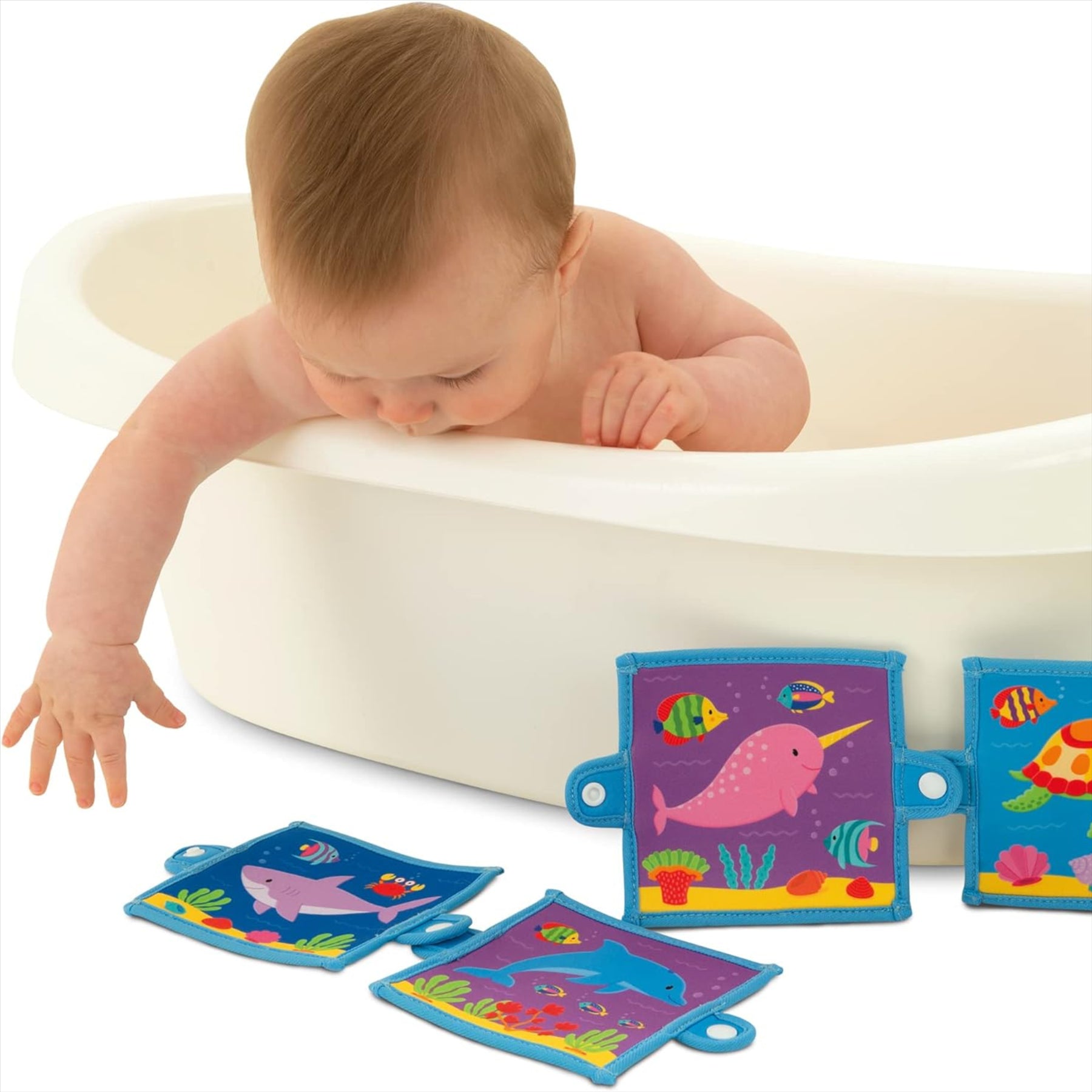 Galt Baby Pop Book Ocean Animal and Fish Bath Toy - Toptoys2u