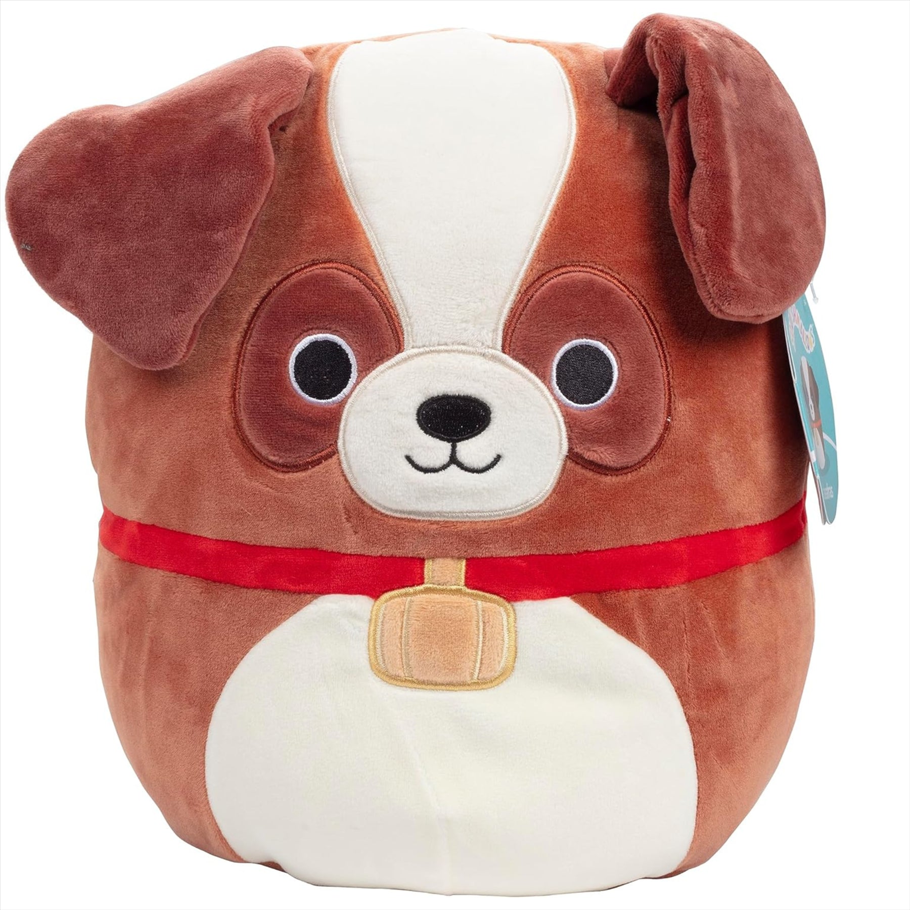 Squishmallows Super Soft Sassafras St Bernard Dog 25cm Gift Quality Collectible Plush Toy - Toptoys2u