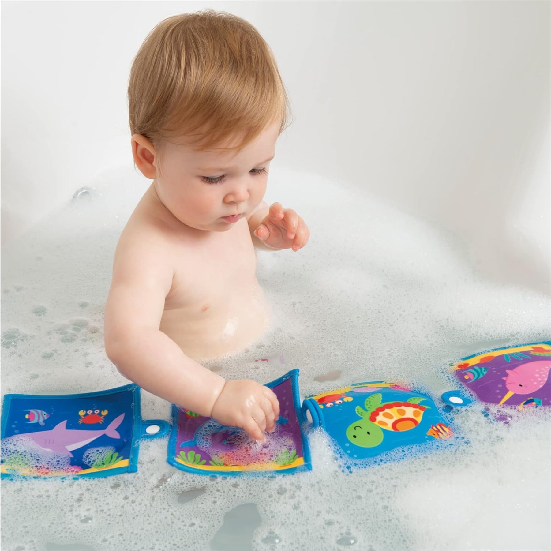 Galt Baby Pop Book Ocean Animal and Fish Bath Toy - Toptoys2u