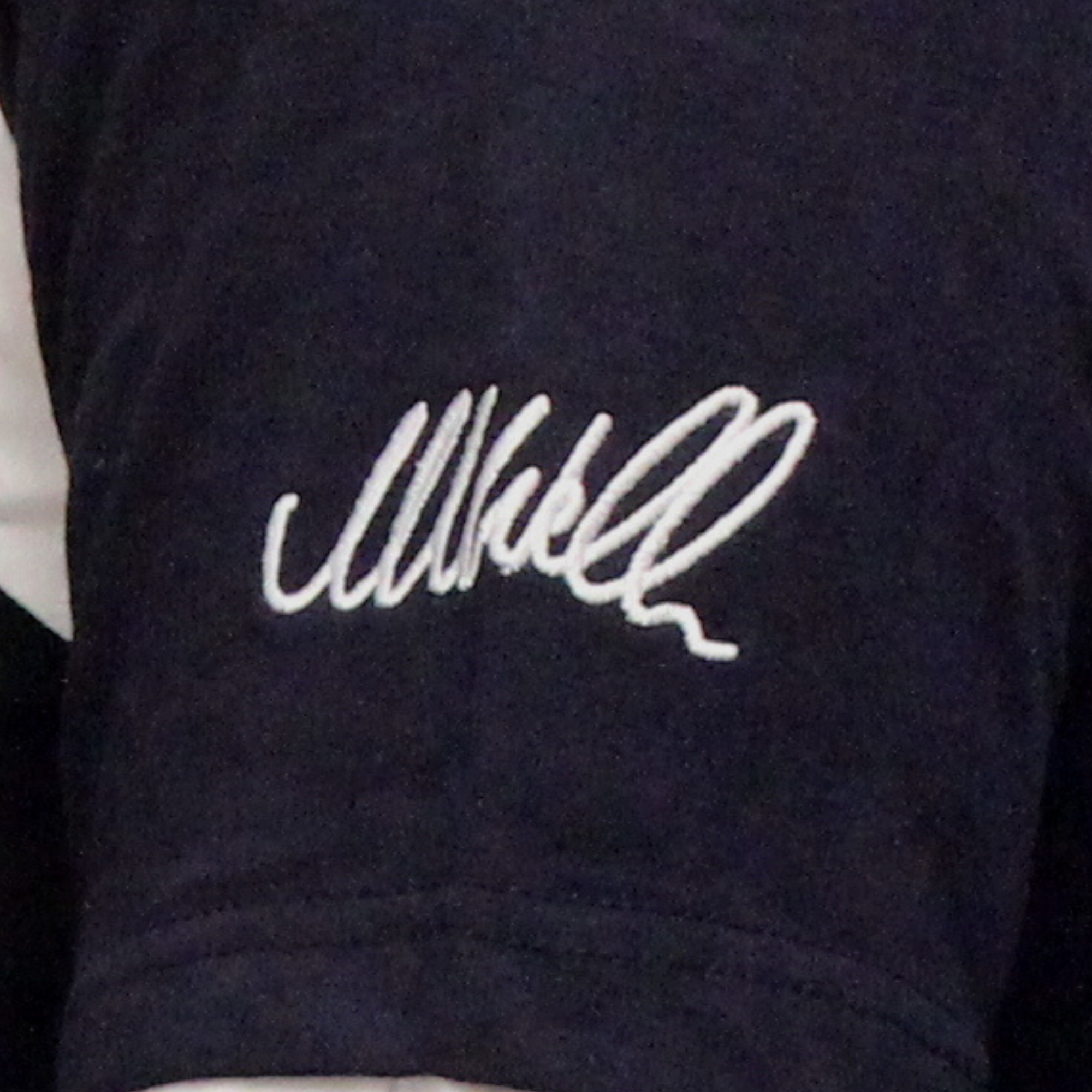 Formula 1 Williams Racing Team - Mark Webber Embroidered Long Sleeve Polo Shirt - Toptoys2u