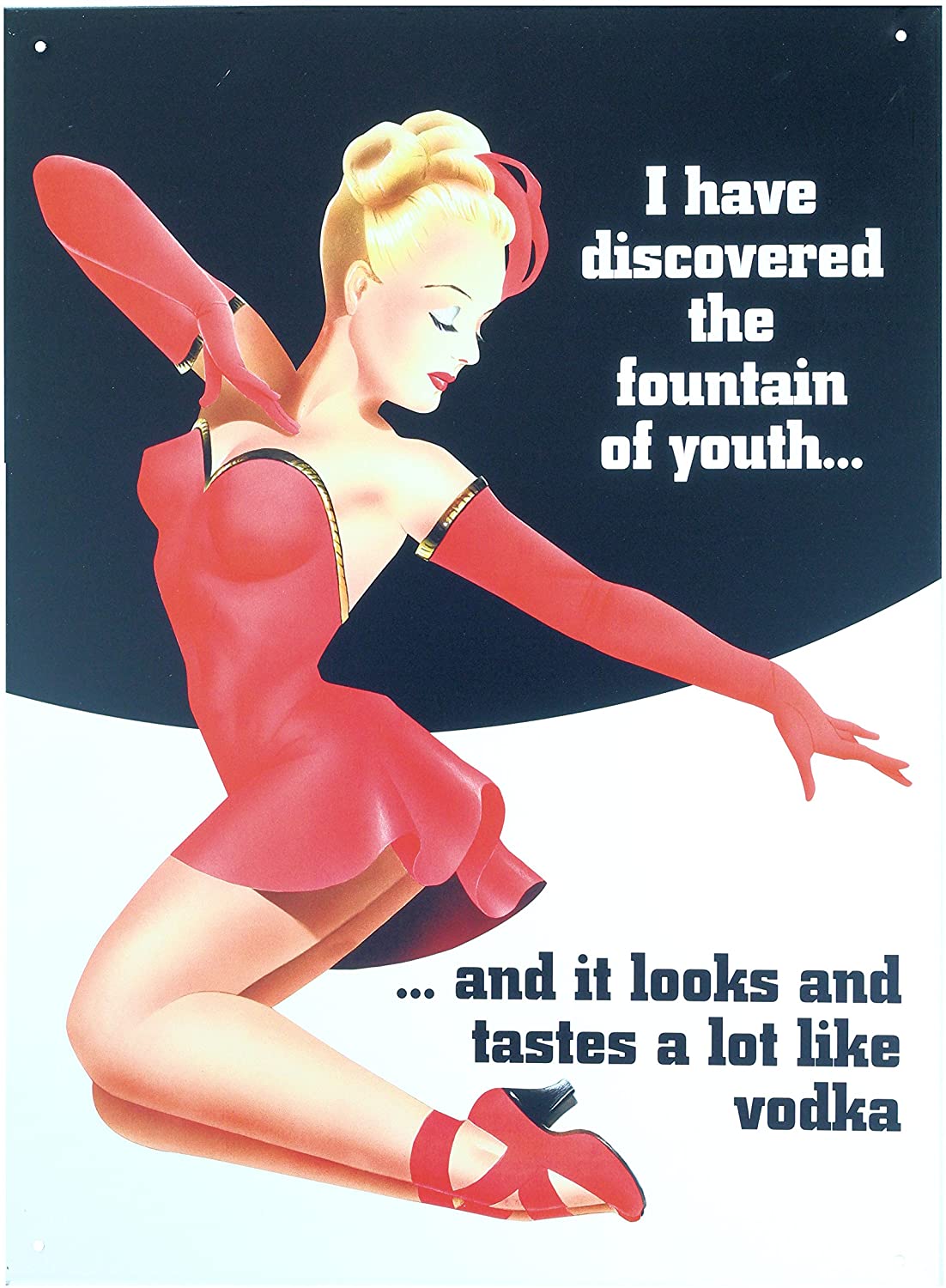 Retro Wall Art Tin Sign Plaque 30cm x 40cm - I Have Discovered the Foutaiin of Youth - Vodka Humour - Toptoys2u